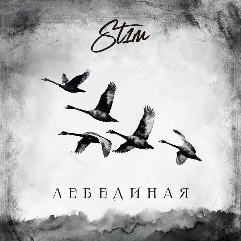 ST1M — Лебединая
