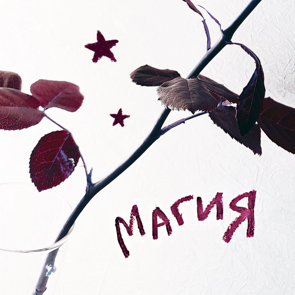 нежность на бумаге — магия