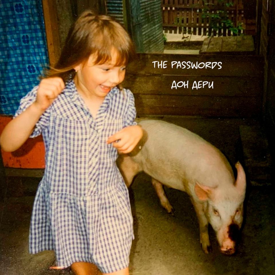 The Passwords — Дон Дери